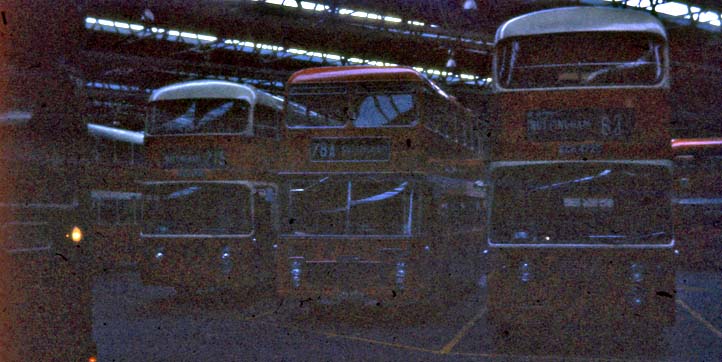 Trent Daimler Fleetlines & Bristol VR